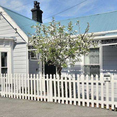 In Dunedin'S Heart, Full House, Full Sun, Full Chill, Why Stay At A Hotel When You Can Afford An Entire House Exterior photo