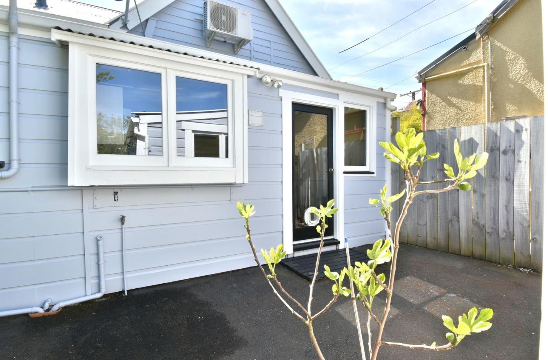 In Dunedin'S Heart, Full House, Full Sun, Full Chill, Why Stay At A Hotel When You Can Afford An Entire House Exterior photo