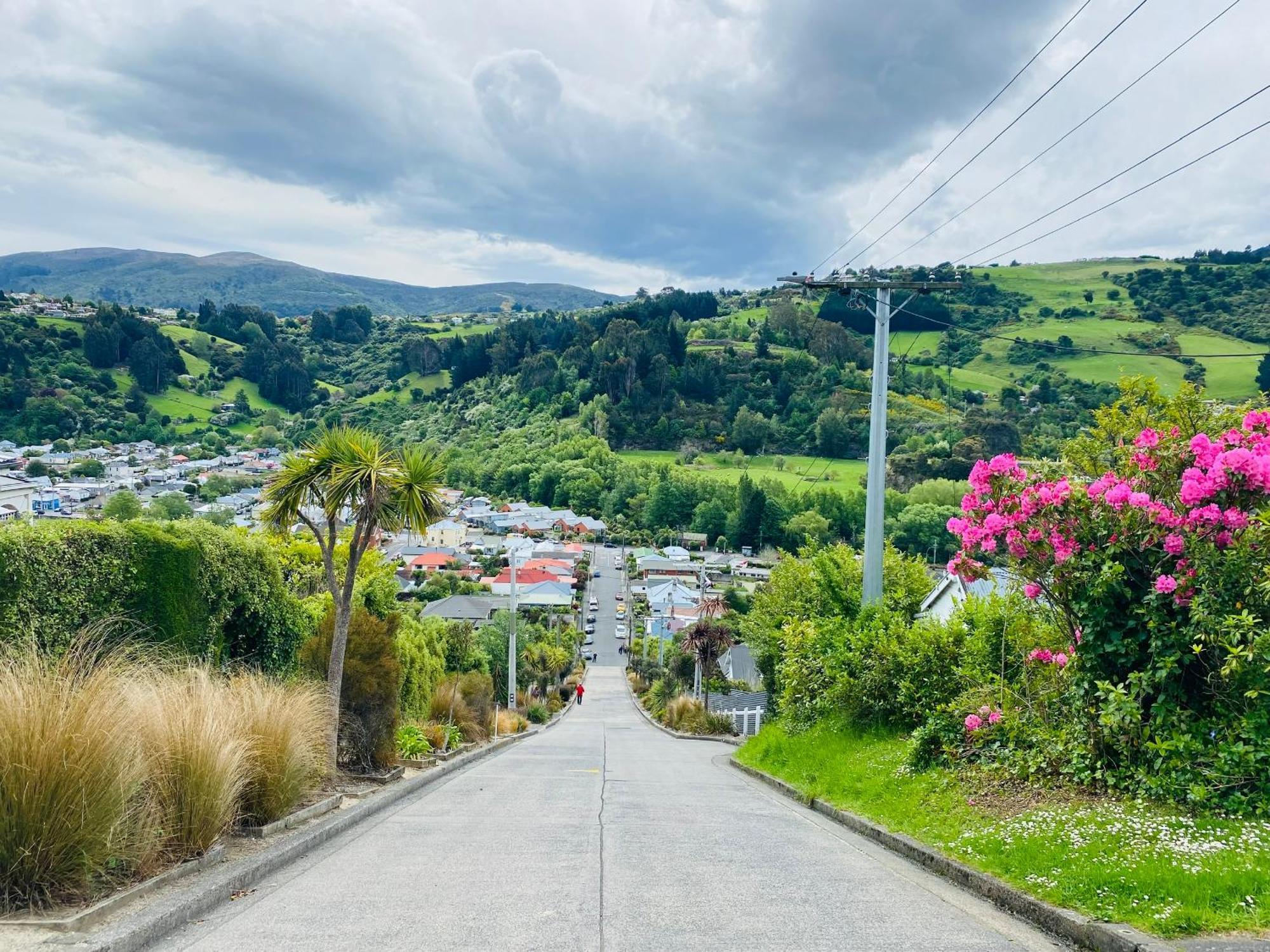 In Dunedin'S Heart, Full House, Full Sun, Full Chill, Why Stay At A Hotel When You Can Afford An Entire House Exterior photo